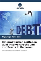 NGAUNDJE DORIS LENO - Ein praktischer Leitfaden zum Insolvenzrecht und zur Praxis in Kamerun