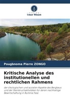 Pougbnoma Pierre Zongo - Kritische Analyse des institutionellen und rechtlichen Rahmens