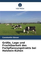 Constantin G¿van, Constantin Gavan - Größe, Lage und Fruchtbarkeit des Fortpflanzungstrakts bei Holstein-Kühen