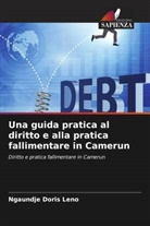 Ngaundje Doris Leno - Una guida pratica al diritto e alla pratica fallimentare in Camerun