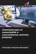 Christopher Khayeka-Wandabwa - Chemioterapia in comorbidità e concomitanza elminto-protozoi