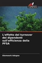 Alemwork Adugna - L'effetto del turnover dei dipendenti sull'efficienza della PFSA