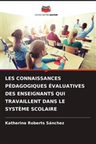 Katherine Roberts Sánchez - LES CONNAISSANCES PÉDAGOGIQUES ÉVALUATIVES DES ENSEIGNANTS QUI TRAVAILLENT DANS LE SYSTÈME SCOLAIRE