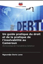 NGAUNDJE DORIS LENO - Un guide pratique du droit et de la pratique de l'insolvabilité au Cameroun