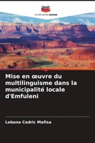 Lebona Cedric Mafisa - Mise en oeuvre du multilinguisme dans la municipalité locale d'Emfuleni