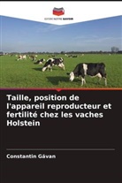 Constantin G¿van, Constantin Gavan - Taille, position de l'appareil reproducteur et fertilité chez les vaches Holstein