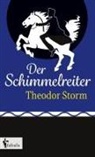 Theodor Storm - Der Schimmelreiter