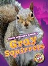 Christina Leaf - Gray Squirrels