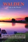 Henry D. Thoreau - Walden (Illustrated Edition)
