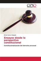 Efrain Castro Delgado - Ensayos desde la perspectiva constitucional