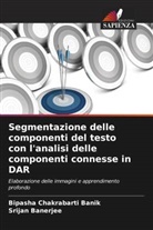 Srijan Banerjee, Bipasha Chakrabarti Banik - Segmentazione delle componenti del testo con l'analisi delle componenti connesse in DAR
