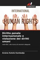 Arsène Katolo Kambadja - Diritto penale internazionale e violazione dei diritti umani