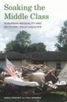 Max Besbris, Anna Rhodes, Anna/ Besbris Rhodes - Soaking the Middle Class