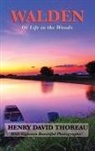 Henry D. Thoreau - Walden (Illustrated Edition)