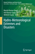 Manish Kumar Goyal, Akhilesh Gupta, Anil Kumar Gupta, Anil Kumar Gupta - Hydro-Meteorological Extremes and Disasters