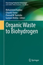 Mohammed Kuddus, Gustavo Molina, Pramod W. Ramteke, Pramod W Ramteke et al, Ghazala Yunus - Organic Waste to Biohydrogen