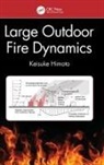 Keisuke Himoto, Keisuke (National Institute for Land and I Himoto, Himoto Keisuke - Large Outdoor Fire Dynamics