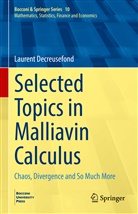 Laurent Decreusefond - Selected Topics in Malliavin Calculus
