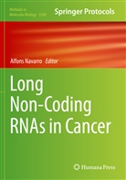 Alfons Navarro - Long Non-Coding RNAs in Cancer