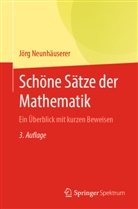 Jörg Neunhäuserer - Schöne Sätze der Mathematik