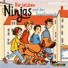 Astrid Frank, Birte Kretschmer, Julian Mill - Die letzten Ninjas und der Juwelenraub, 1 Audio-CD (Hörbuch)