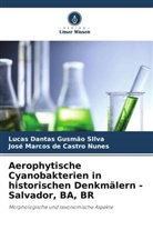 José M de Castro Nunes, José Marcos de Castro Nunes, Lucas Dantas Gusmão SIlva - Aerophytische Cyanobakterien in historischen Denkmälern - Salvador, BA, BR