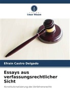 Efrain Castro Delgado - Essays aus verfassungsrechtlicher Sicht