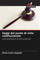 Efrain Castro Delgado - Saggi dal punto di vista costituzionale