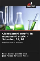 José Marcos de Castro Nunes, Lucas Dantas Gusmão SIlva - Cianobatteri aerofiti in monumenti storici - Salvador, BA, BR