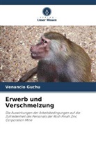 Venancio Guchu - Erwerb und Verschmelzung