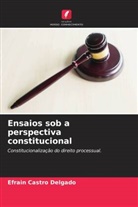 Efrain Castro Delgado - Ensaios sob a perspectiva constitucional