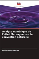 Fahim Mahtab Abir - Analyse numérique de l'effet Marangoni sur la convection naturelle