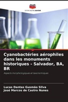 José Marcos de Castro Nunes, Lucas Dantas Gusmão SIlva - Cyanobactéries aérophiles dans les monuments historiques - Salvador, BA, BR