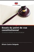 Efrain Castro Delgado - Essais du point de vue constitutionnel