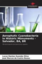 José Marcos de Castro Nunes, Lucas Dantas Gusmão SIlva - Aerophytic Cyanobacteria in Historic Monuments - Salvador, BA, BR