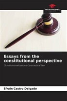 Efrain Castro Delgado - Essays from the constitutional perspective