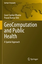 Gouri Sankar Bhunia, Pravat Kumar Shit - GeoComputation and Public Health