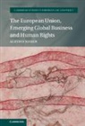 Aleydis Nissen, Aleydis (Universiteit Leiden) Nissen - European Union, Emerging Global Business and Human Rights