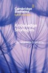 Constantin Bratianu, Bratianu Constantin - Knowledge Strategies