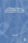 Paul Terry, Terry Paul - Clinician s Guide to Understanding and Using Psychoanalysis in Practic