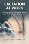Elizabeth A. Hoffmann, Hoffmann Elizabeth A. - Lactation at Work