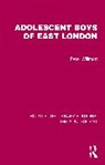 Peter Willmott - Adolescent Boys of East London