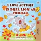 Shelley Admont - I Love Autumn (English Irish Bilingual Book for Kids)