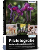 Alexander Mett - Pilzfotografie - Magische Momente inszenieren