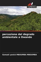 Gemael Yanick Mboumba Mboumba - percezione del degrado ambientale a Owando