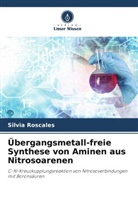 Aurelio García Csákÿ, Silvia Roscales - Übergangsmetall-freie Synthese von Aminen aus Nitrosoarenen