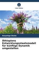 Asayehgn Desta - Äthiopiens Entwicklungsstaatsmodell für künftige Dynamik umgestalten