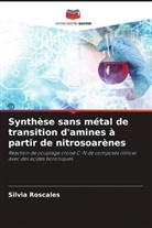 Aurelio García Csákÿ, Silvia Roscales - Synthèse sans métal de transition d'amines à partir de nitrosoarènes