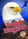 Chris Bowman - Bald Eagles