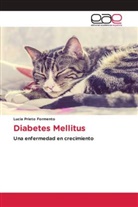 Lucia Prieto Formento - Diabetes Mellitus
